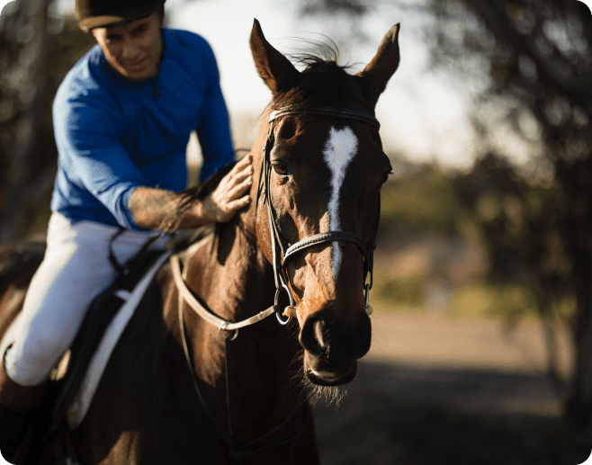 A person in riding attire pats a brown horse with a white blaze on its forehead.