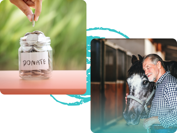 A jar labeled "Donate" filled with coins, next to an older man affectionately embracing a horse in a stable.