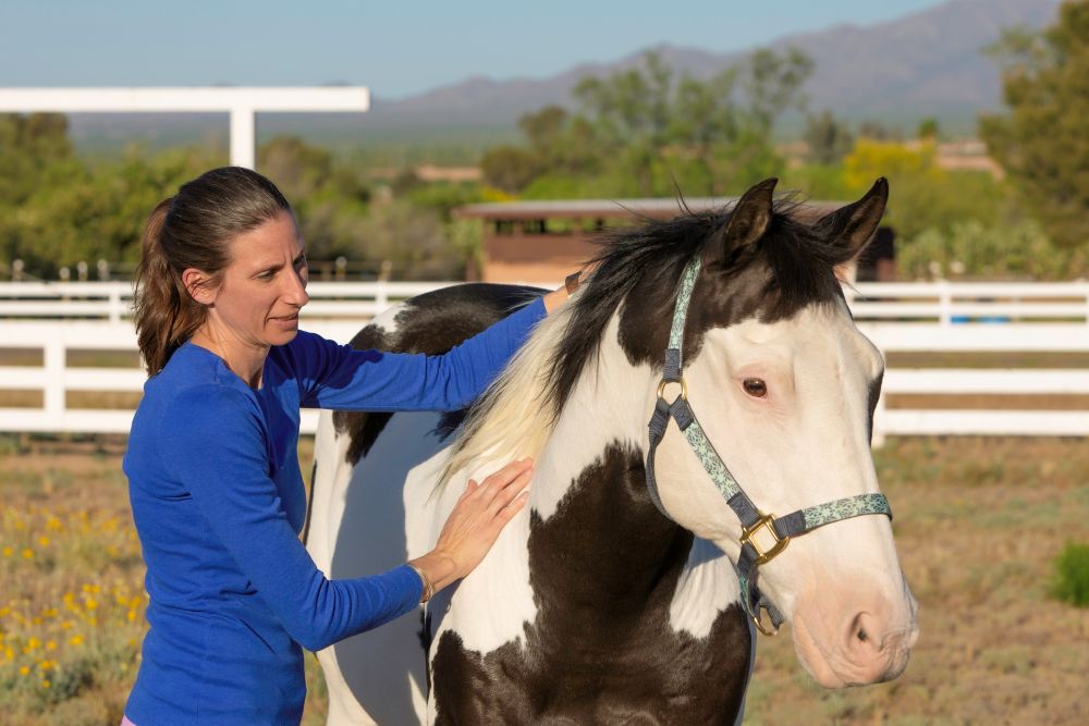 Equine Empowerment Center, Inc.