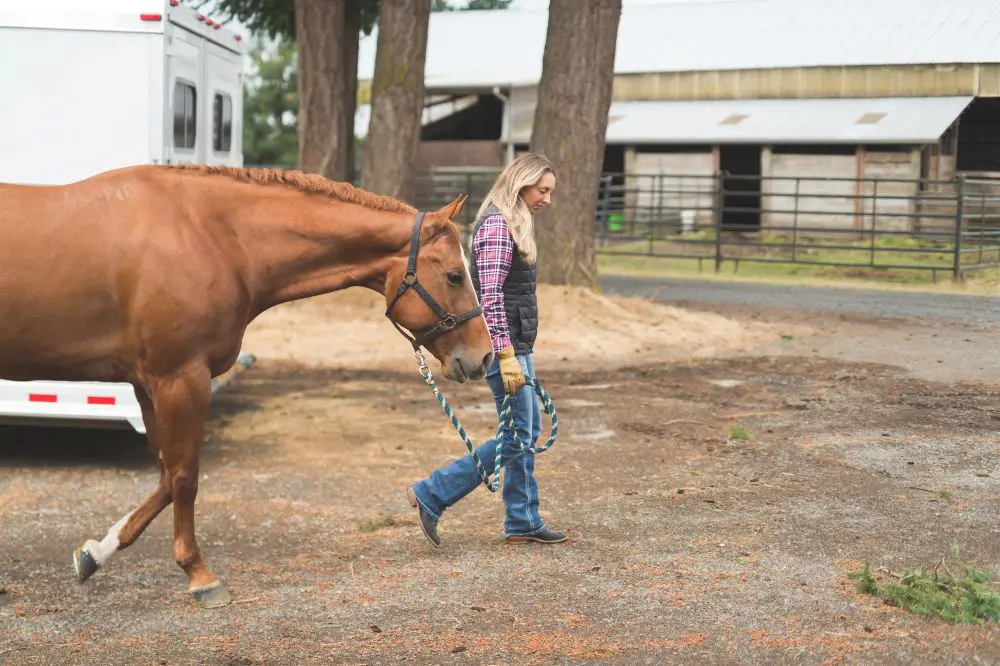 Equine Empowerment Center, Inc.