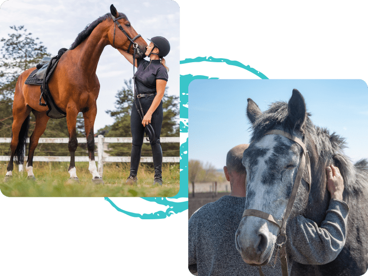 Equine Empowerment Center, Inc.