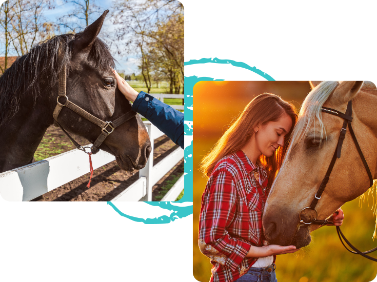 Equine Empowerment Center, Inc.